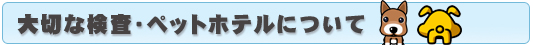大切な検査・ペットホテルについて
